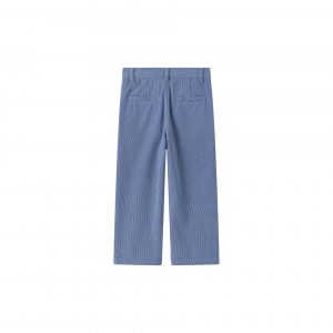 Pantalón micropana azul
